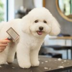 Why Regular Dog Grooming Is Important