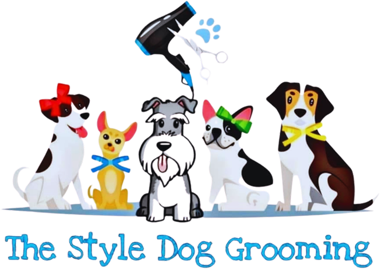Header Logo